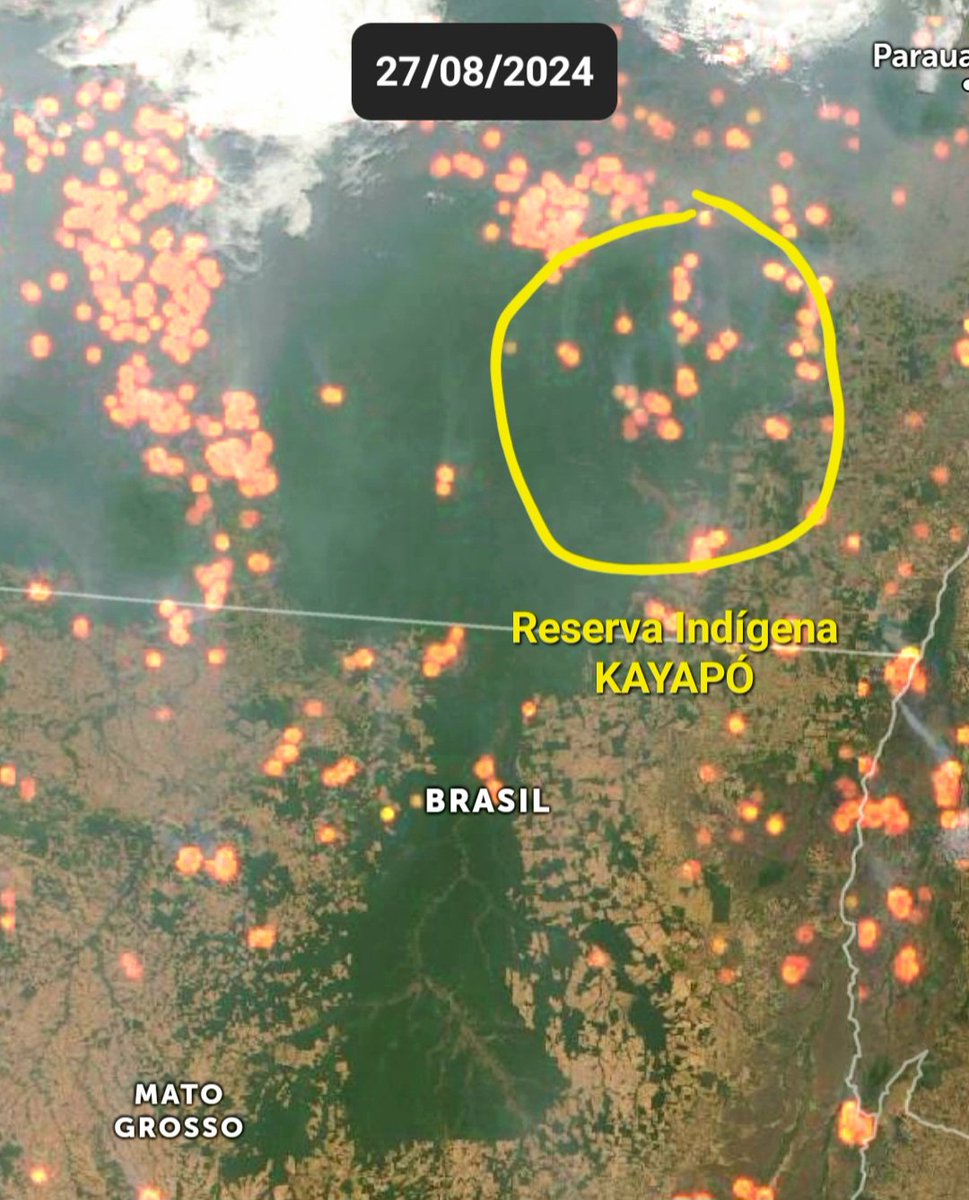 Estão queimando dentro da RESERVA INDÍGENA KAYAPÓ.

Não posso marcar o governador Helder Barbalho, porque ele me bloqueou 🤦🏻‍♂️

Ajudem a chegar nas autoridades.
Reservas são as únicas proteções da floresta amazônica.

Marquem o governador.
<a href="/MarinaSilva/">Marina Silva</a> 
<a href="/GuajajaraSonia/">Sonia Guajajara</a>