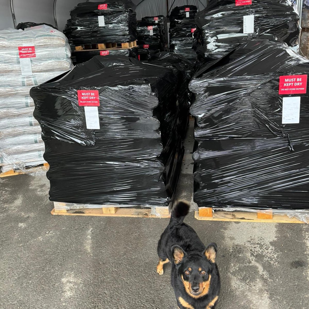 Instead of basking in late August sunshine, we've been busy building pallets to keep you all warm, while we listen to the rain hammering down outside. 

Red weather warnings; flooded roads; a week's worth of rain in one day... what a summer 😢⛈️