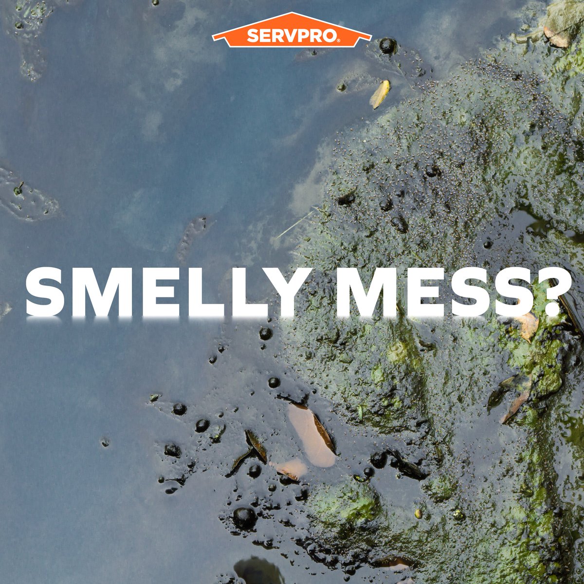 Clogged pipes are common but don't always end well. If you're dealing with a smelly mess, let the pros at SERVPRO handle it!