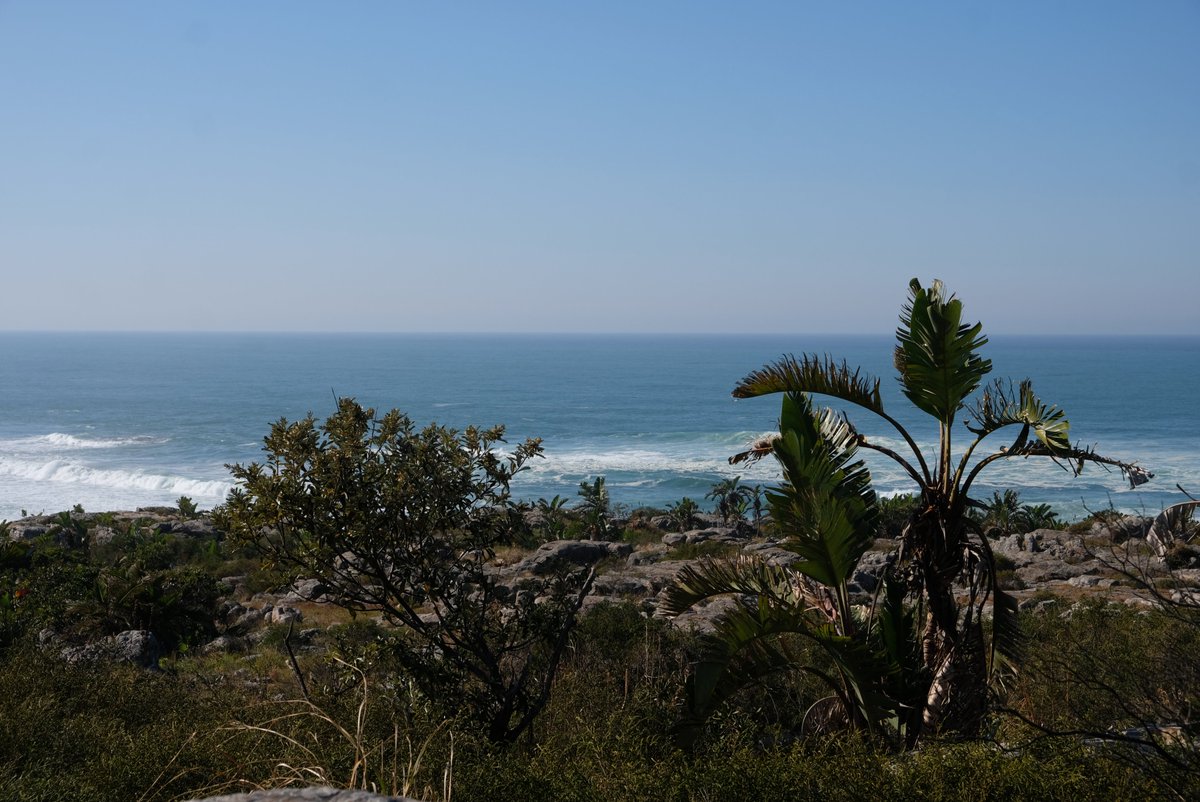 📢Media release: Constitutional Court will hear appeal of Wild Coast communities🌿

This case raises NB constitutional questions about the appropriateness of “just and equitable relief” after the SCA gave Shell a lifeline to continue with exploration

naturaljustice.org/media-release-…