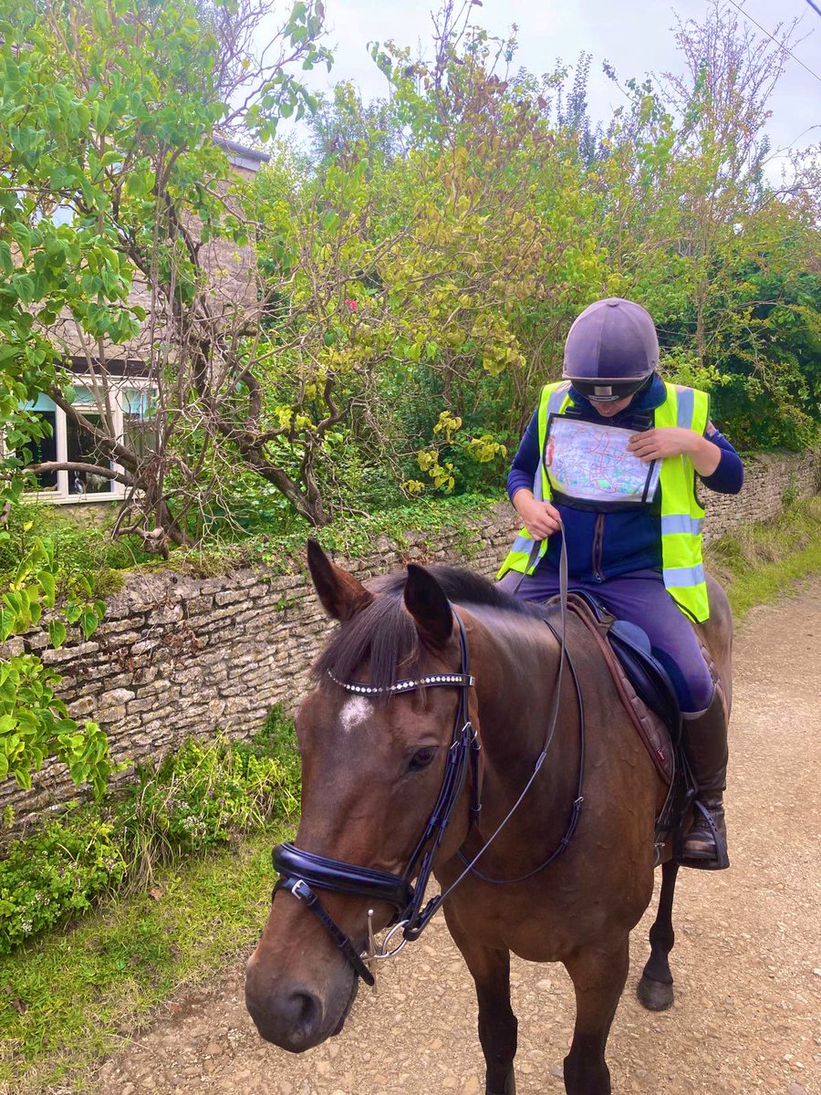 JockeyRach's tweet photo. Following maps 📍
Galloping lots 🏇🏻
Exploring 🌲🌳
What an amazing heavenly place just 30mins down the road 🩷
Ruacana absolutely loved it 🩵
#lifeafterracing
#grade1winner https://t.co/rDMQA8u7e7