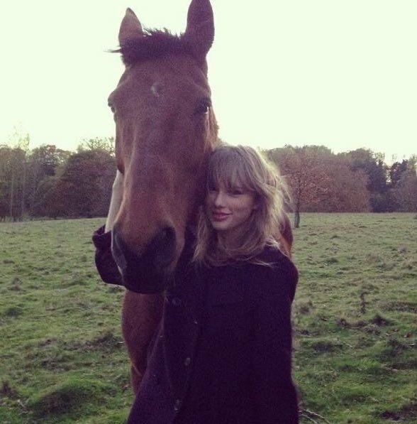 lanaswifft's tweet image. o travis comprou um cavalo de corrida e deu o nome de "swift delivery"