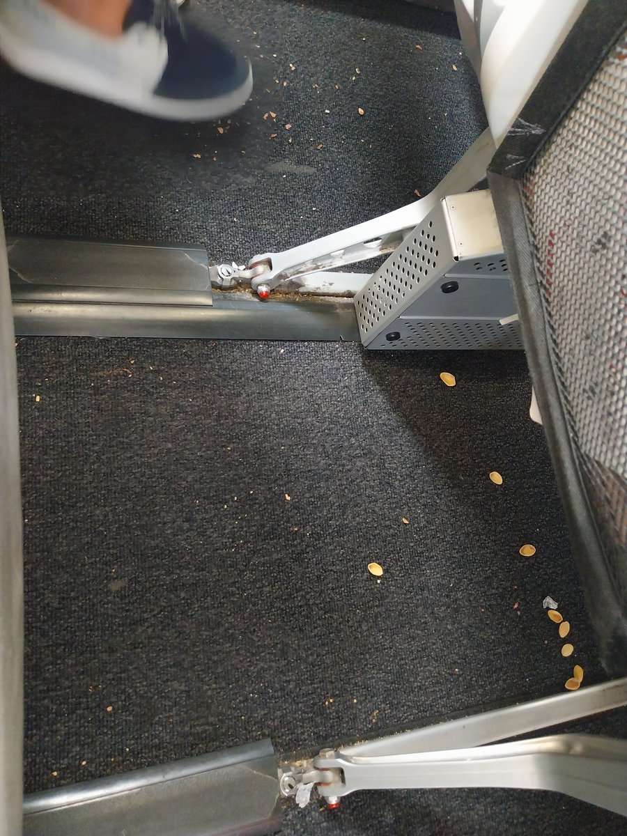 Elena Moreno tweet media