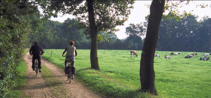 Vernieuwde opzet Molenweekend!  

3. Zondag 8 september Molenfietstocht 

De Molen biedt u een fietstocht aan door de mooie omgeving van Geesteren. Er zijn 2 routes, eentje van circa 20km en de andere circa 40km. Start en finish natuurlijk bij de Geesterse Molen.