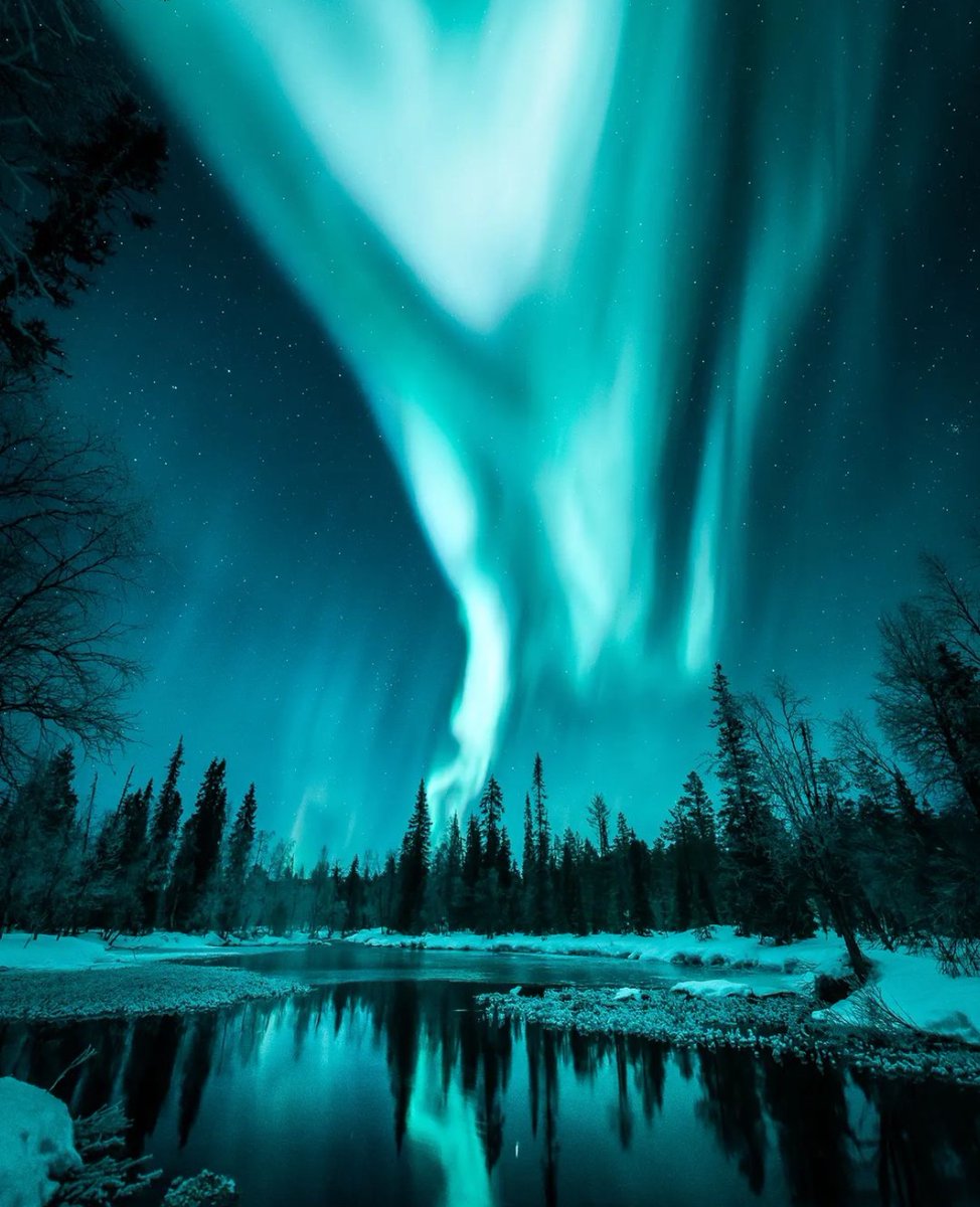 earthcurated's tweet photo. Arctic nights ✨ https://t.co/mxbjWlUQno