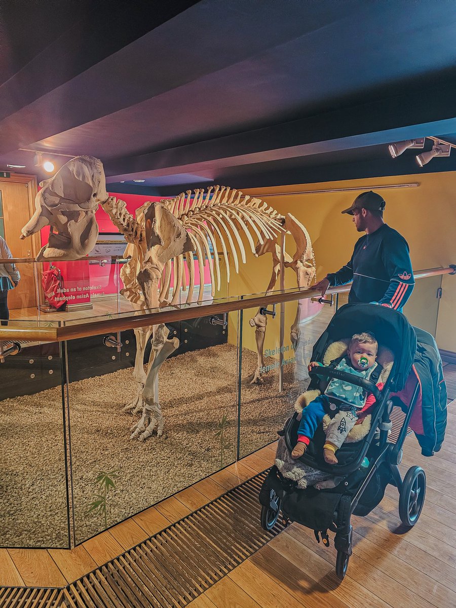 Ciara Ferguson tweet media