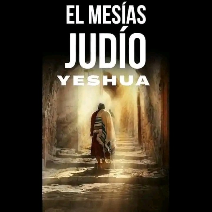 YHWH PRIMERO 🥇 tweet media