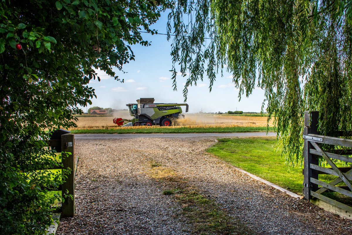 Andrew Knaggs (@knaggsy16) on Twitter photo Our neighbour W R Jackson & Son harvesting a field of Skyfall over the road from us a couple of weeks back 🇬🇧 🌾 🍞 🚜 💨 #harvest2024 <a href="/FarmersWeekly/">Farmers Weekly</a> Our neighbour W R Jackson & Son harvesting a field of Skyfall over the road from us a couple of weeks back 🇬🇧 🌾 🍞 🚜 💨 #harvest2024 <a href="/FarmersWeekly/">Farmers Weekly</a>