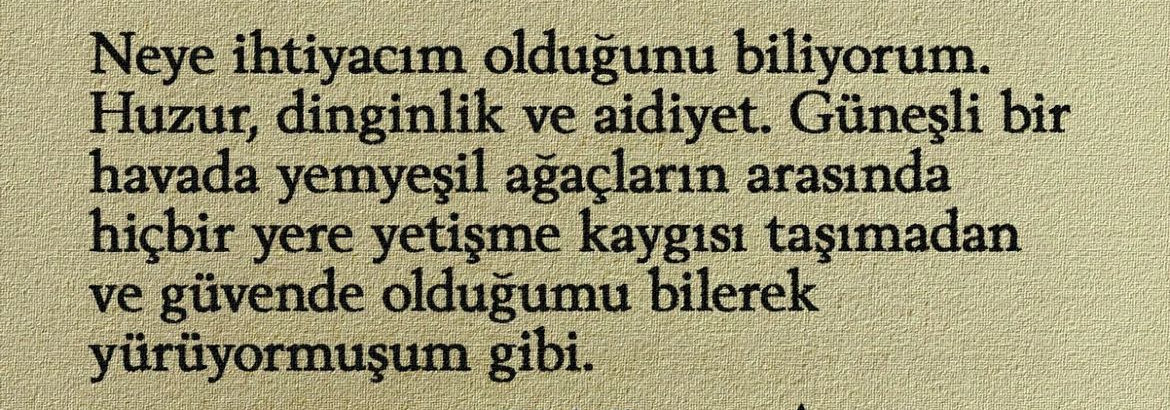 sᴇɴsɪᴢ ʜᴀᴛıʀᴀ (@sensizhatiram) on Twitter photo 