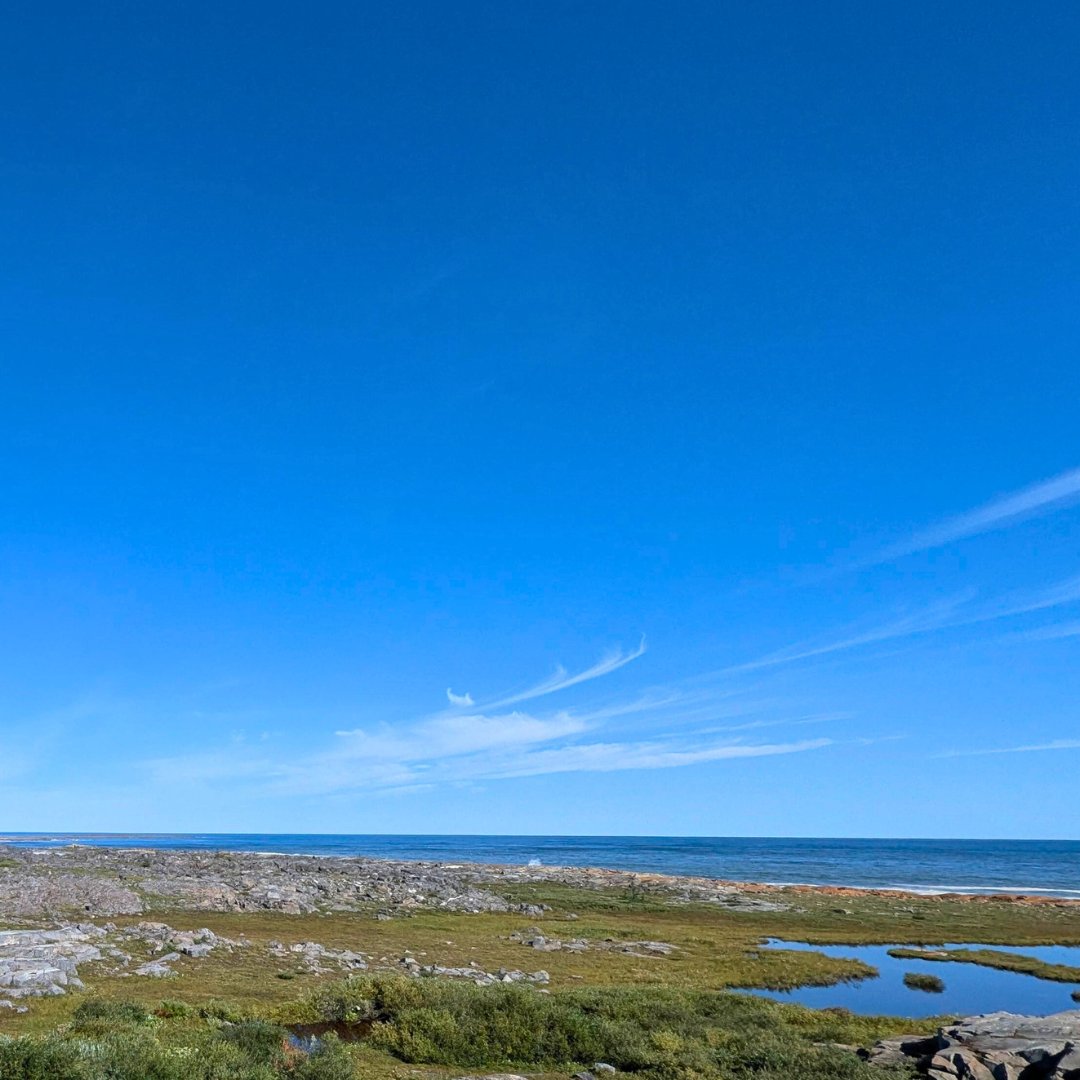Today, the University of Manitoba held the grand opening of the Churchill Marine Observatory (CMO), the province’s FIRST marine research facility.

Learn more about CMO here: asp-net.org/content/church…

#ChurchillCMO  #arctic #arcticfocus #arcticresearchfoundation
