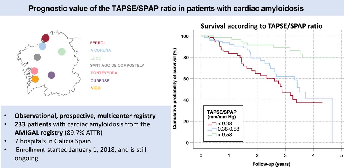 Prognostic value of the tricuspid annular plane systolic excursion/systolic pulmonary artery pressure ratio in cardiac amyloidosis #REC <a href="/GonBarge/">GBarge🍍</a> <a href="/eduardo_barge/">EDUARDO BARGE</a> <a href="/M_Lopez_Perez/">Manuel Lopez Perez</a> <a href="/INESGOMEZ71/">Inés Gómez Otero</a> <a href="/avarelaroman/">alfonsovarela</a> <a href="/javiergseara/">Javier Garcia Seara</a> <a href="/alberto_bouzas/">Alberto Bouzas-Mosquera</a> <a href="/MG_Crespo_Leiro/">Marisa Crespo Leiro</a> revespcardiol.org//en-prognostic…