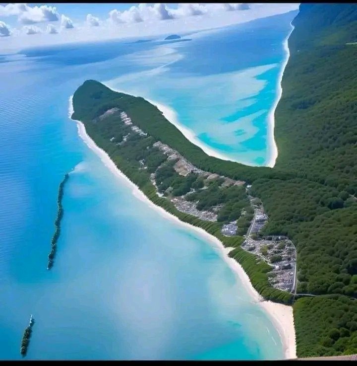 ParaLanchesLixo's tweet photo. 📍Ilha Pará Lanches https://t.co/6YEWOFuW4q