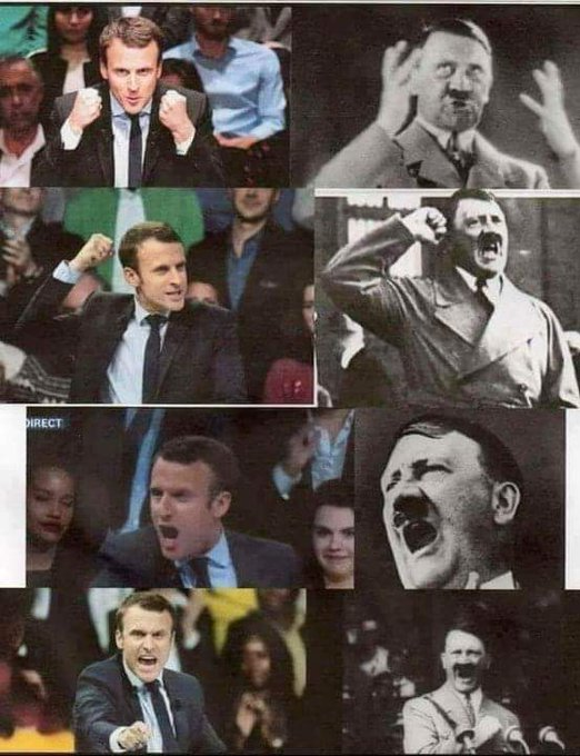 anonymus tweet media