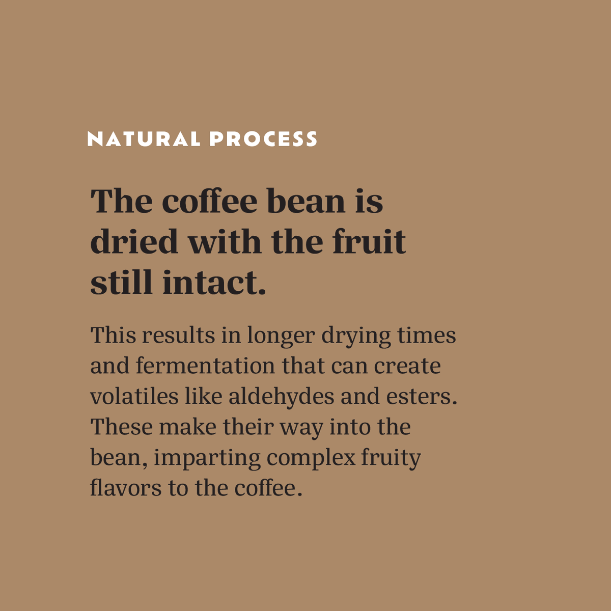 Casa Brasil Coffees tweet media