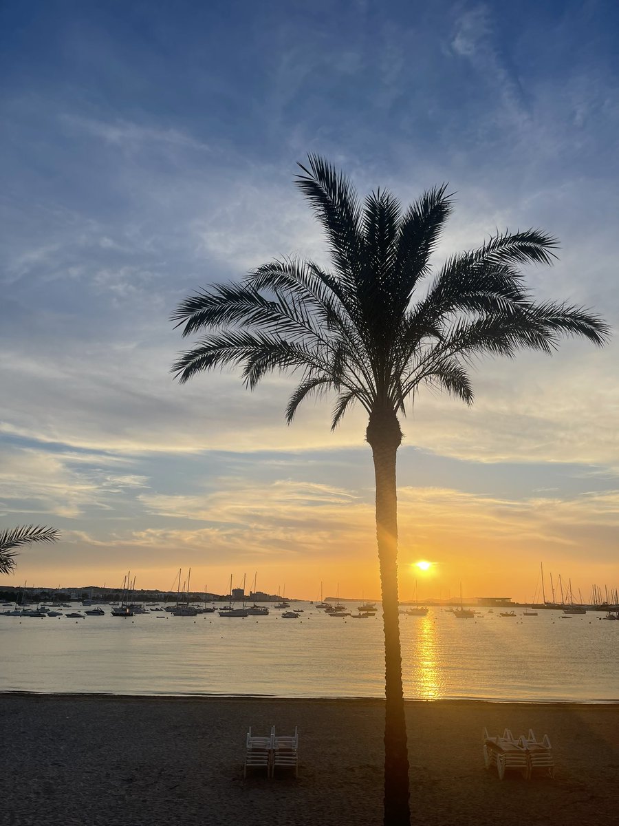FredNGingaBuns's tweet photo. #Bulter current view #Beefa π°πππππ https://t.co/7IXYIcSd8u