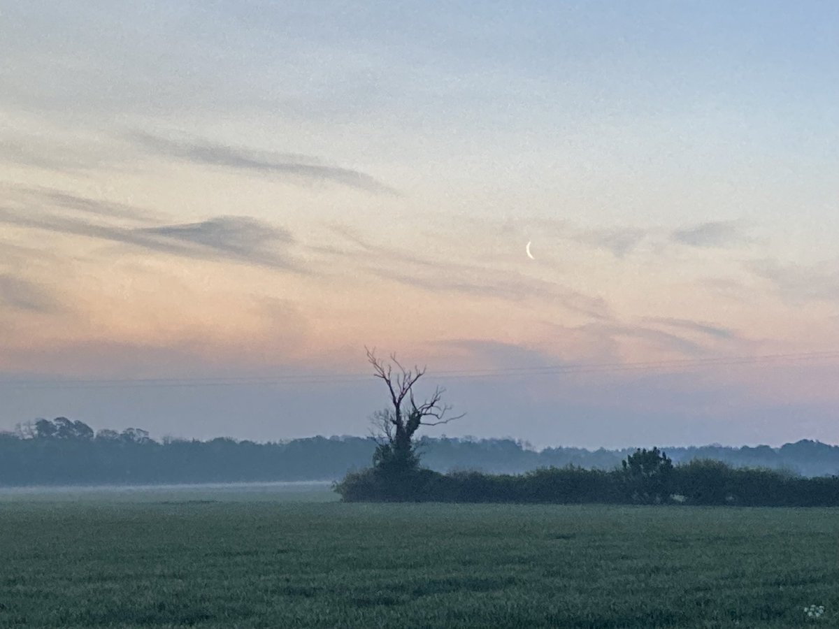 I spent #DawnChorusDay2024 at <a href="/BlenheimPalace/">Blenheim Palace</a> It was a stunning morning and the birdsong in the ancient woodland of High Park was amazing 🐦