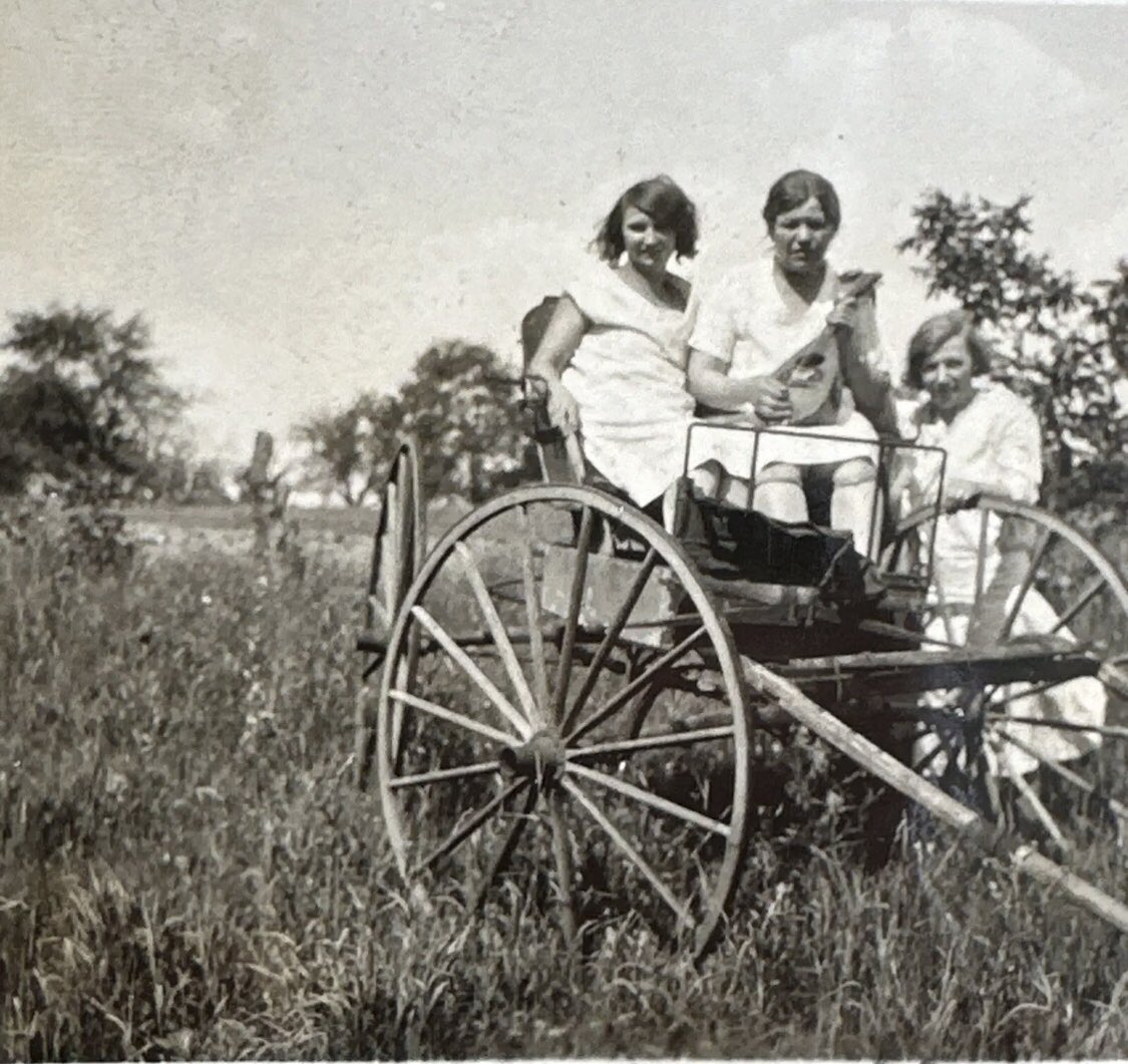 Miletti - Mandolin’s Art
galleriamiletti.it 👈

#collezionemandolino #galleriamiletti #mandolino  #napoli #culturacampania #musicabarocca #mandolin #mandoline #mandolina #mandolinist #mandolinista #orchestramandolino #mandolinobarocco #campaniadavivere #mandolinonapoletano