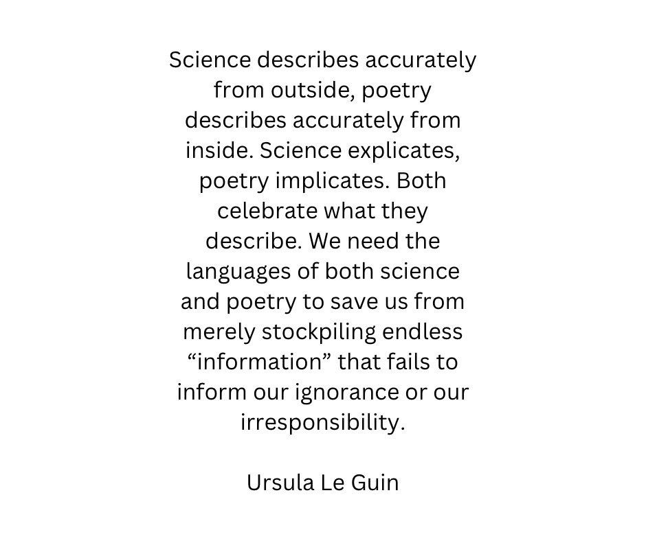 Sue Moon (@suemoondebeauv) on Twitter photo 