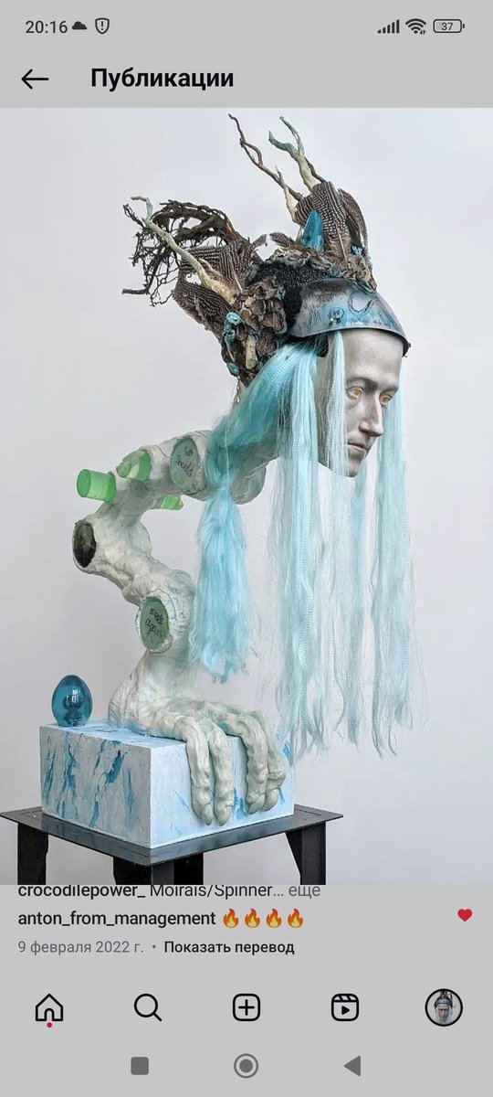 CrocodilePower tweet media