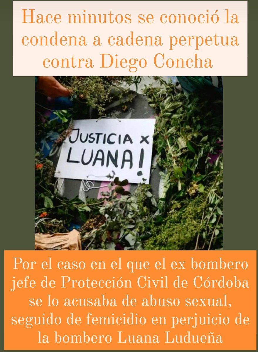 Se acaba de conocer la condena a cadena perpetua a Diego Concha, por abuso sexual, seguido de femicidio en prejuicio de la bombera Luana Ludueña