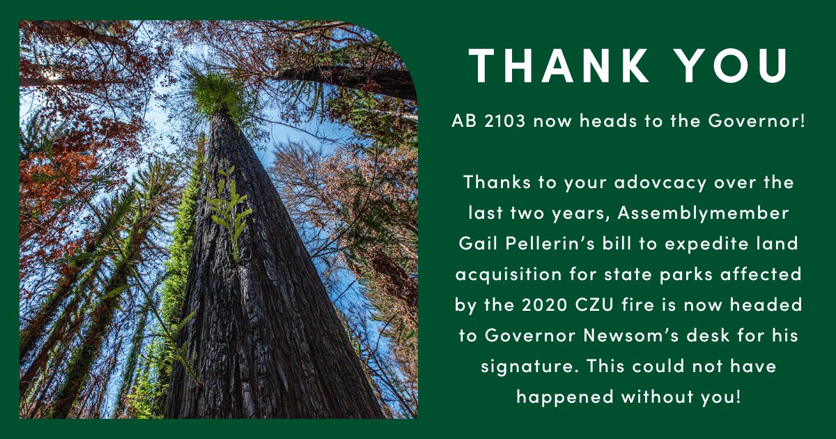 Sempervirens Fund (@sempervirensfnd) on Twitter photo You did it! Thanks to you, #AB2103, which will help rebuild Big Basin, Butano, and Año Nuevo State Parks after the #CZUfire, has been passed by the #CaStateSenate and goes to <a href="/GovernorNewsom/">GovernorNewsom</a> for his signature. Thank you <a href="/AsmGailPellerin/">Assemblymember Gail Pellerin</a> for your leadership! You did it! Thanks to you, #AB2103, which will help rebuild Big Basin, Butano, and Año Nuevo State Parks after the #CZUfire, has been passed by the #CaStateSenate and goes to <a href="/GovernorNewsom/">GovernorNewsom</a> for his signature. Thank you <a href="/AsmGailPellerin/">Assemblymember Gail Pellerin</a> for your leadership!