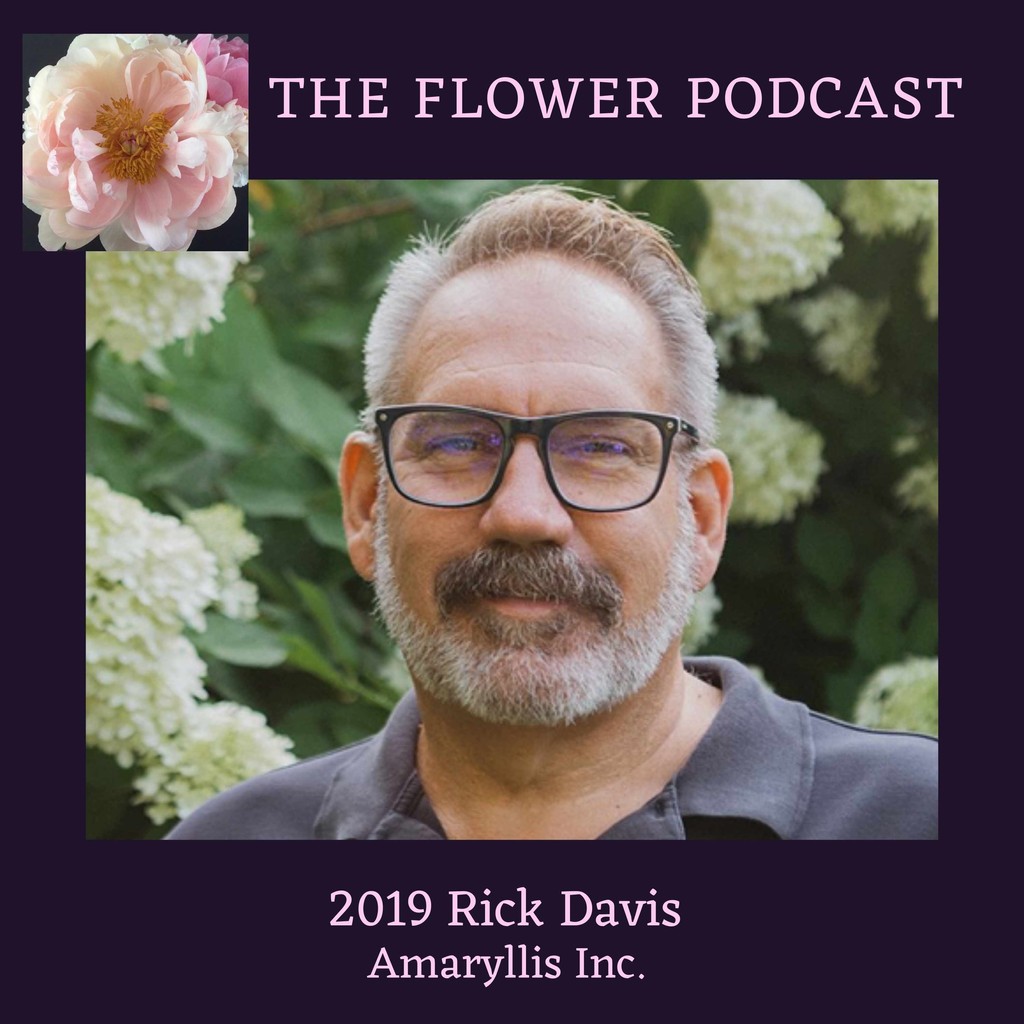 PodcastFlower's tweet photo. I'm excited to bring back a conversation this week that truly deserves a second listen! Rick Davis from @amaryllisinc transitioned from managing a modest floral shop to earning recognition as one of the leading wedding florists by @martha_weddings. https://t.co/SjaKapQ0lY