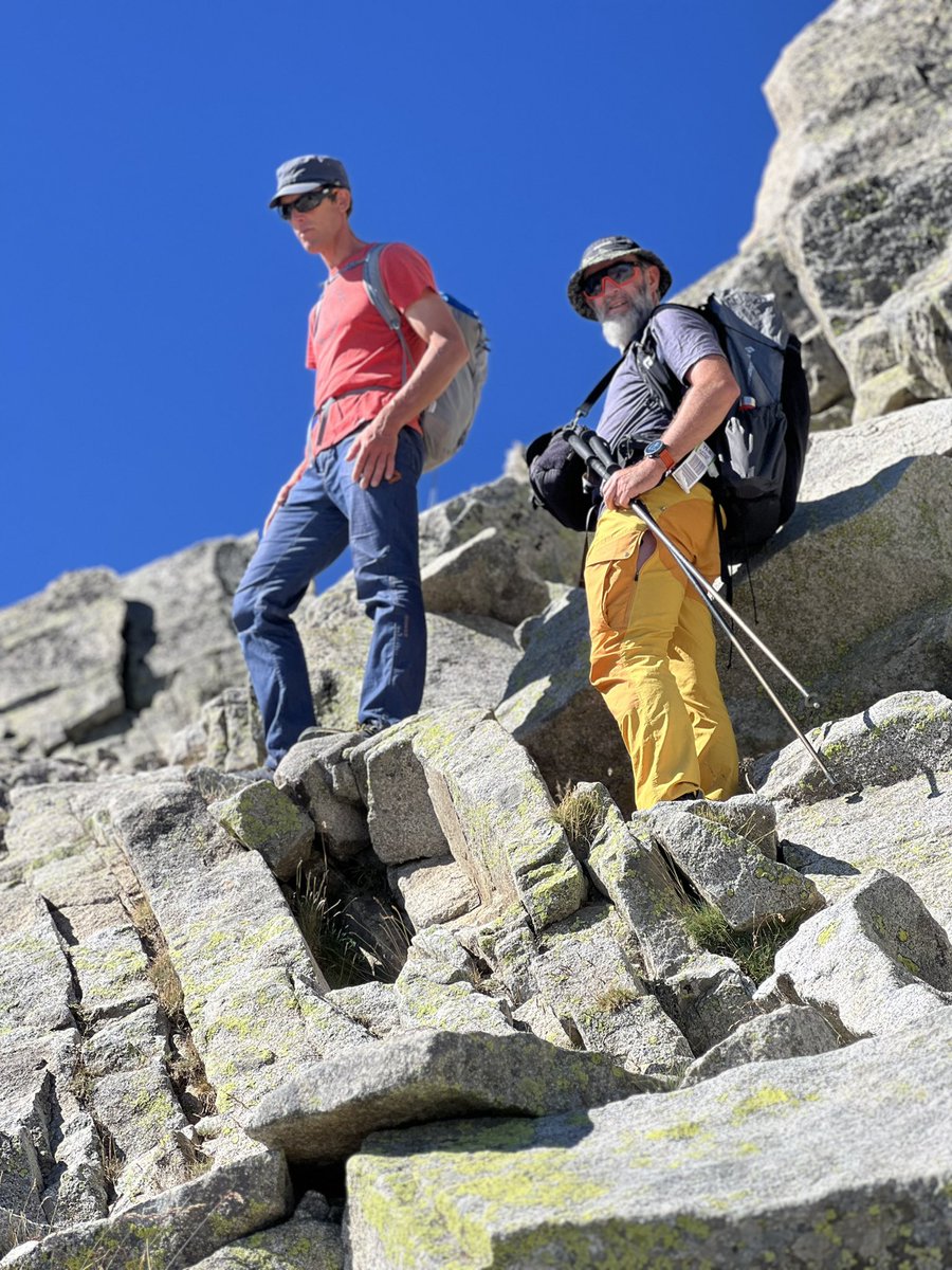 Corinne Crabé tweet media