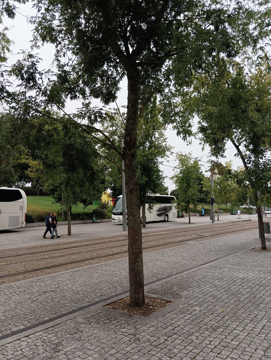 Un metro con árboles sin césped artificial es posible. #Porto #Oporto #ACCCGranada #CambioClimático #Microplasticos