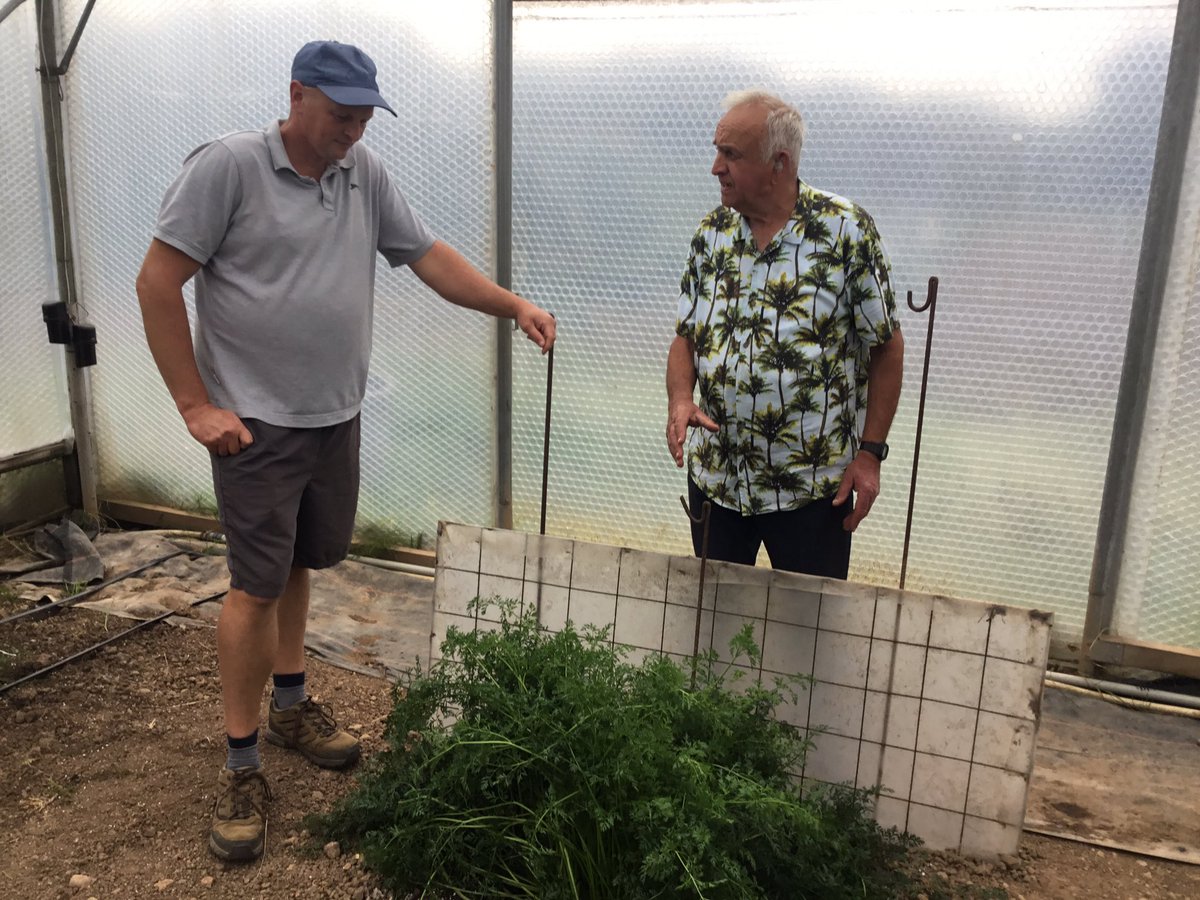 Making friendly bets on which of my vegetables will make it to Malvern. Loser will buy lunch.