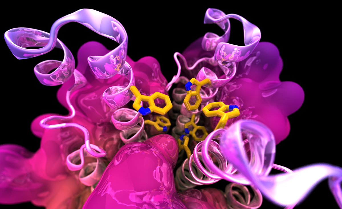 Lorenzo Casalino (@lcasalino88) on Twitter photo In our new study out in <a href="/NatureComms/">Nature Communications</a>, co-led by <a href="/xandra_nuqui/">Xandra Nuqui</a> and myself, in collab. w/ <a href="/McLellan_Lab/">Jason McLellan</a> & <a href="/ChandranLab/">Kartik Chandran</a>, we designed a 2W-stabilized SARS-CoV-2 S2 antigen exhibiting enhanced expression and preserved immunogenicity against sarbecoviruses.
👉 nature.com/articles/s4146… In our new study out in <a href="/NatureComms/">Nature Communications</a>, co-led by <a href="/xandra_nuqui/">Xandra Nuqui</a> and myself, in collab. w/ <a href="/McLellan_Lab/">Jason McLellan</a> & <a href="/ChandranLab/">Kartik Chandran</a>, we designed a 2W-stabilized SARS-CoV-2 S2 antigen exhibiting enhanced expression and preserved immunogenicity against sarbecoviruses.
👉 nature.com/articles/s4146…
