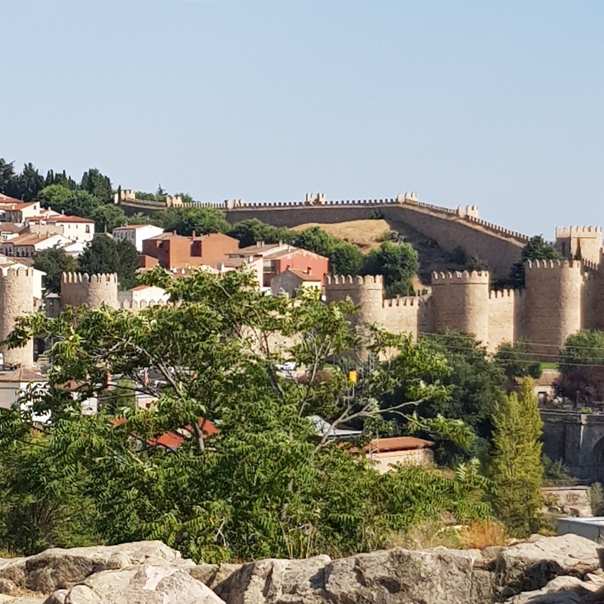 maite pina tweet media