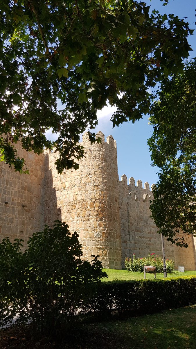 maite pina tweet media