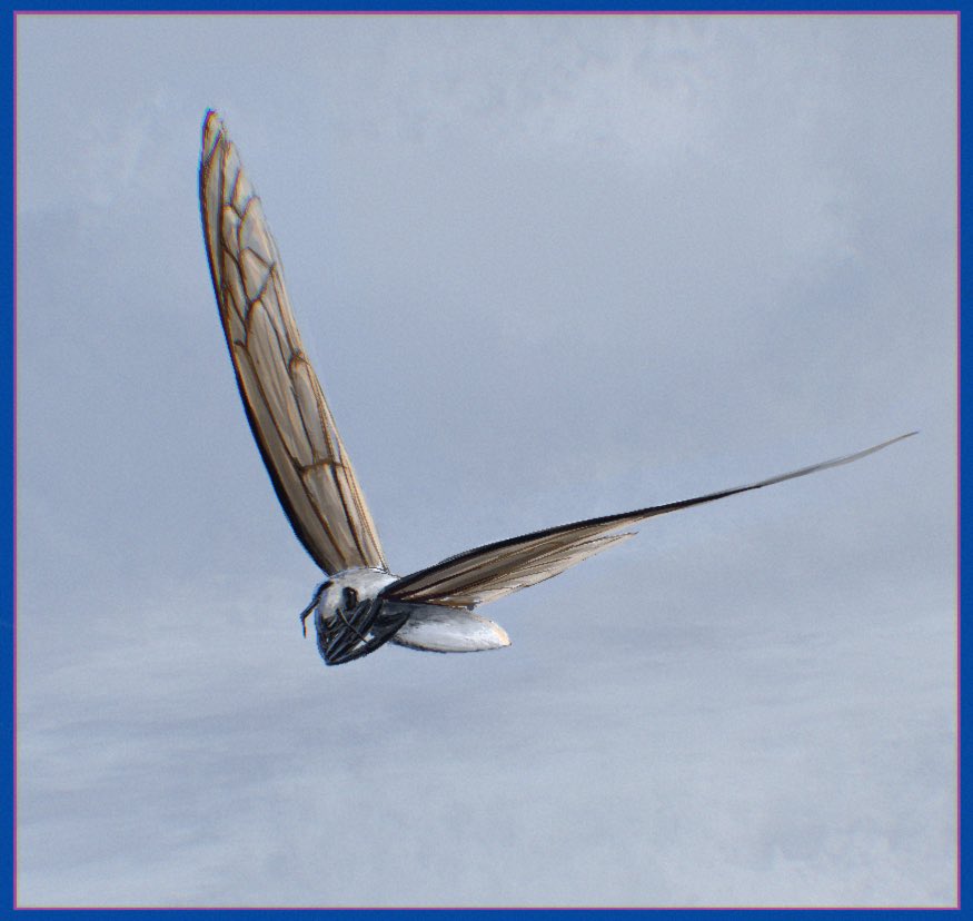 Yet another entry for my speculative proyect #Bivalvopia ,a seeded world of bivalves. on land however bumblebees where the sole inhabitants and had since radiated into multiple taxa 

#speculativeevolution 

(Additional Info in a thread below for anyone interested)