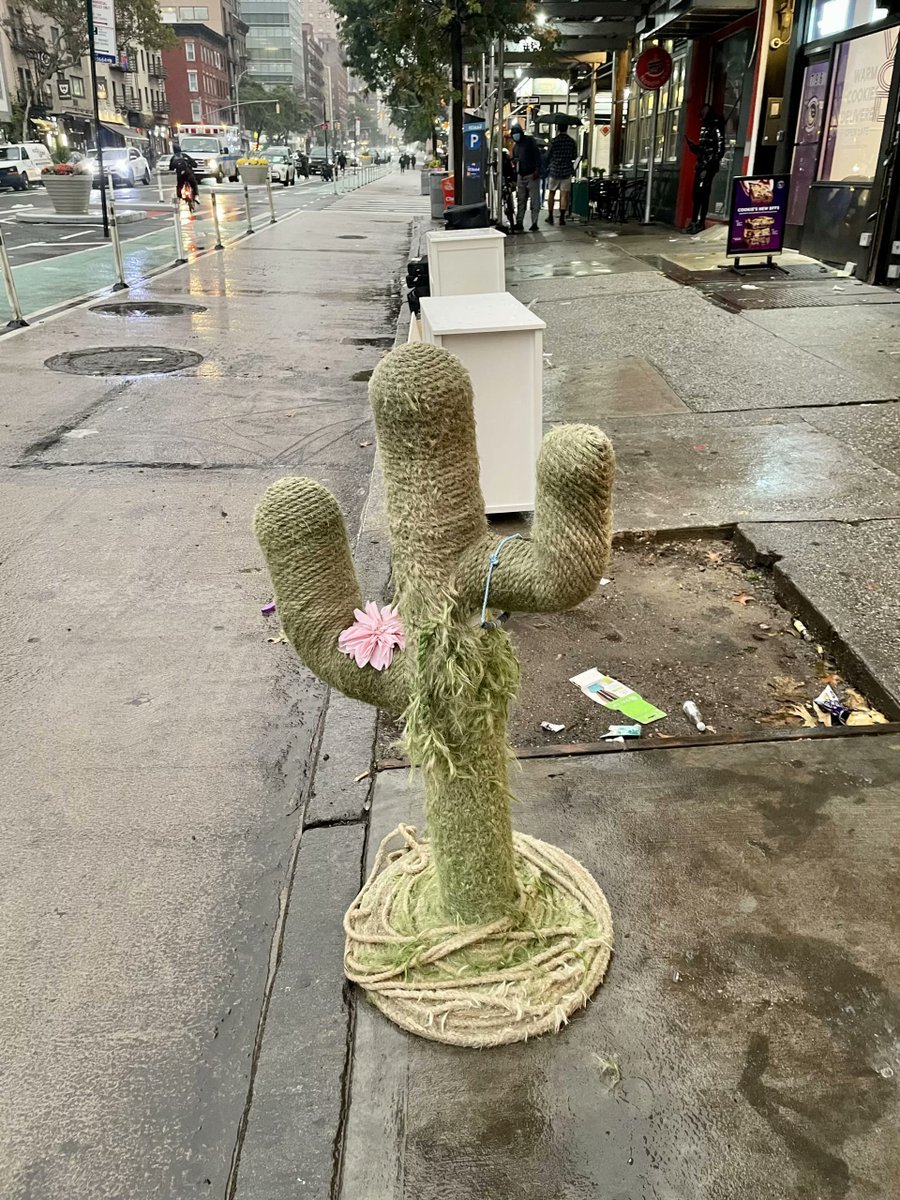 StoriesTrash's tweet photo. ROUGH NIGHT OUT

I escaped the claws of a lion

To be abandoned in the rain,

But I was gloriously free

To start my life again...

Read more: https://t.co/xczslZrzdk

#newyorkcity #nyc #nyctrash #nyctrashstories https://t.co/XbLa6CXVdP