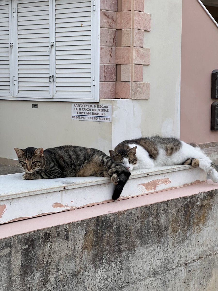 На вечерней прогулке повстречали вот таких сарделин