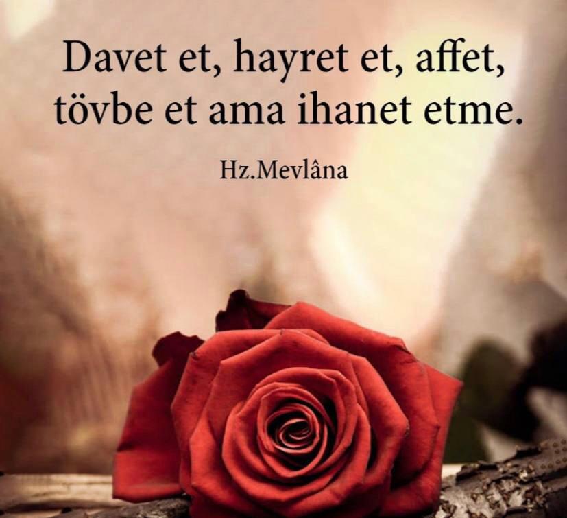 Hasan Duran (@dyranhasan41758) on Twitter photo 