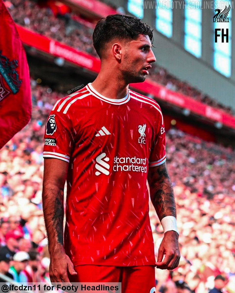 🔴JOE🔴 tweet media