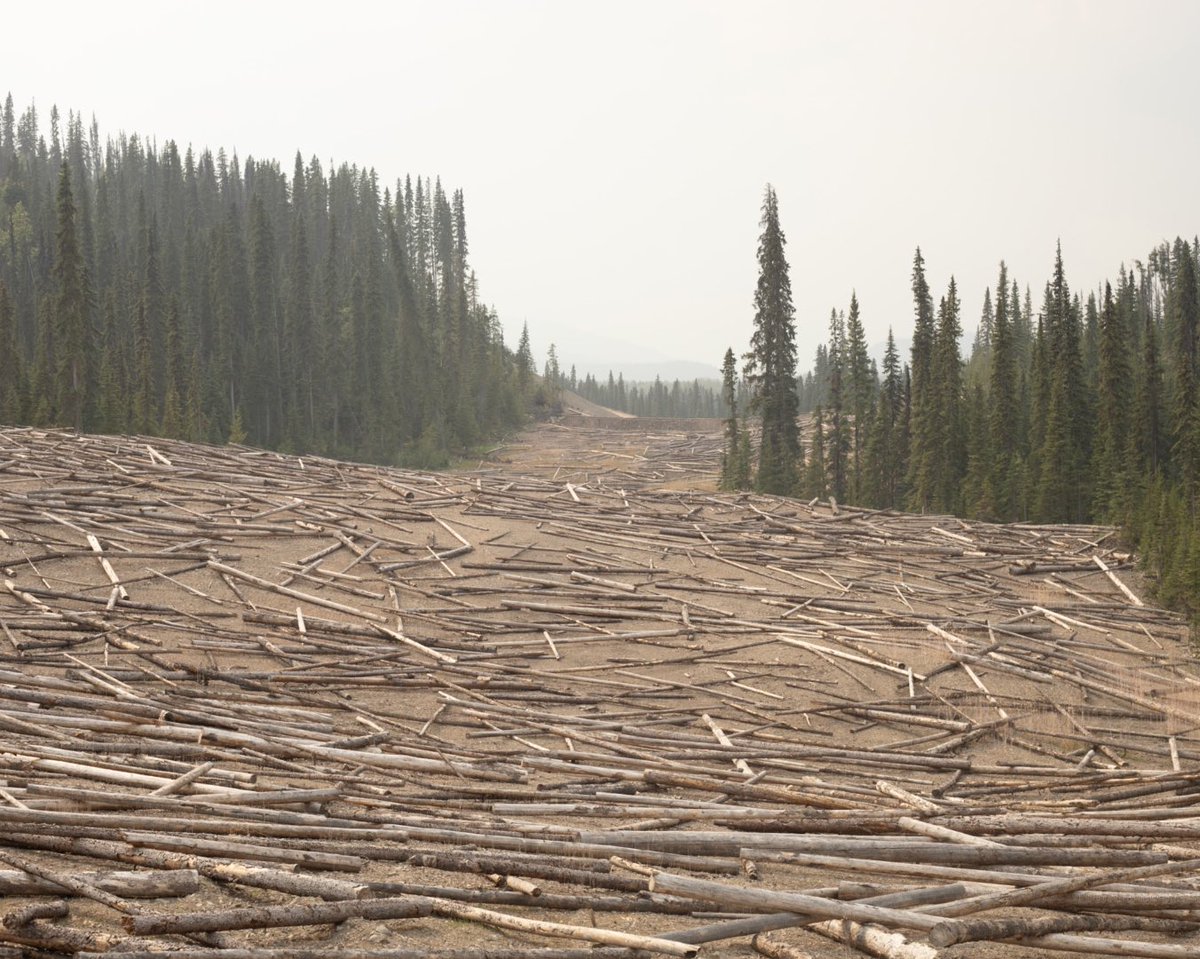 Aftermath of the Coastal GasLink pipeline, which cuts thorough Wet’suwet’en territory. According to sources, logs have been placed to help with flooding of the previously forested area, which was clearcut to assist with the building of the pipeline. This is the way it’s left in