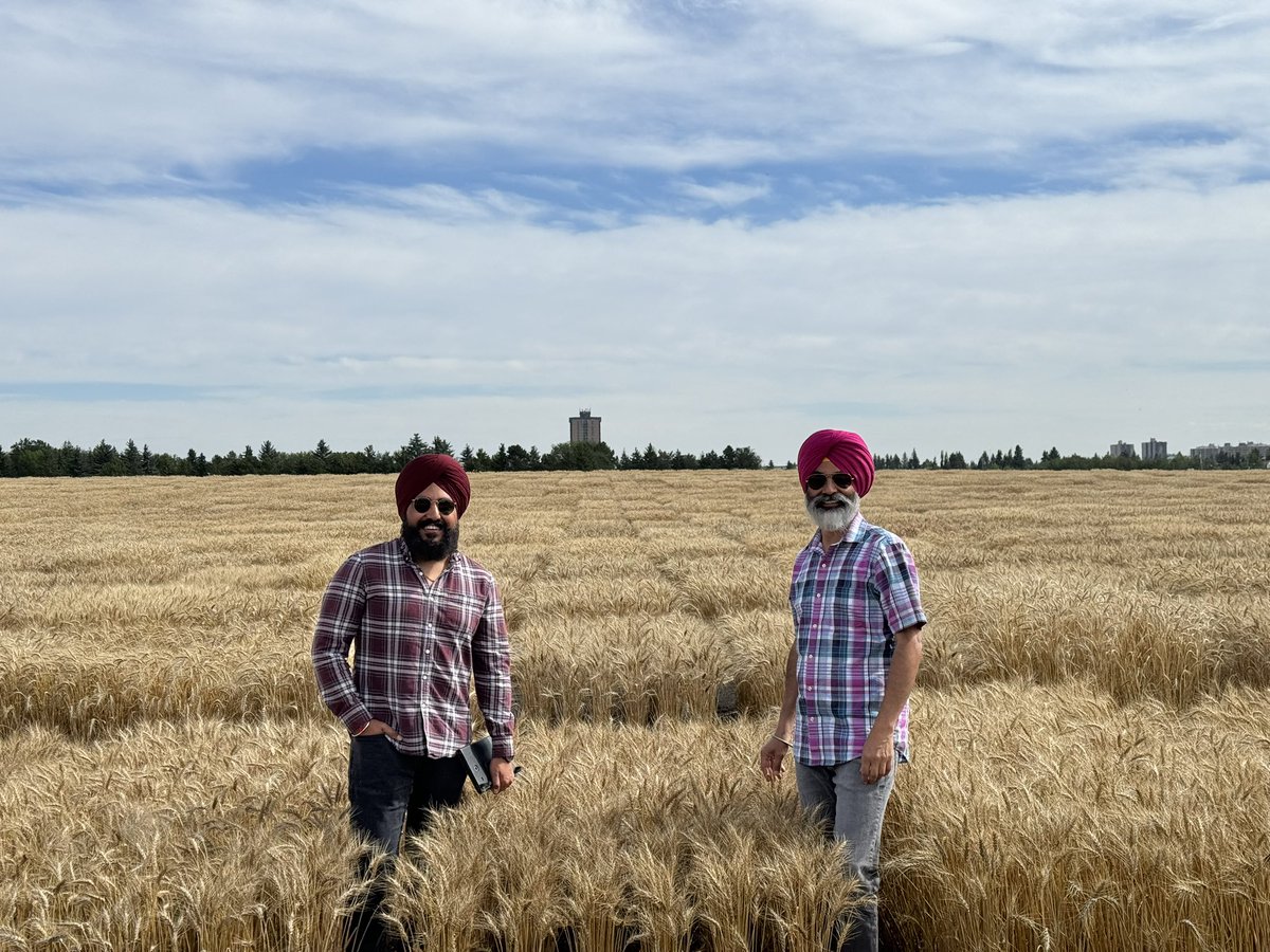 Hanging out with <a href="/WheatSingh/">Harpinder S Randhawa  🌾</a>, particularly among wheat plots is always fun. Thank you <a href="/wheat_research/">Canadian Wheat Research Coalition</a> <a href="/SaskWheat/">Sask Wheat</a> <a href="/AlbertaGrains/">Alberta Grains</a> <a href="/mb_cropalliance/">Manitoba Crop Alliance</a> <a href="/westerngrains/">WGRF</a> <a href="/RDARAlberta/">RDAR (Results Driven Agriculture Research)</a> for funding our breeding programs &amp; several collaborative projects between our programs.