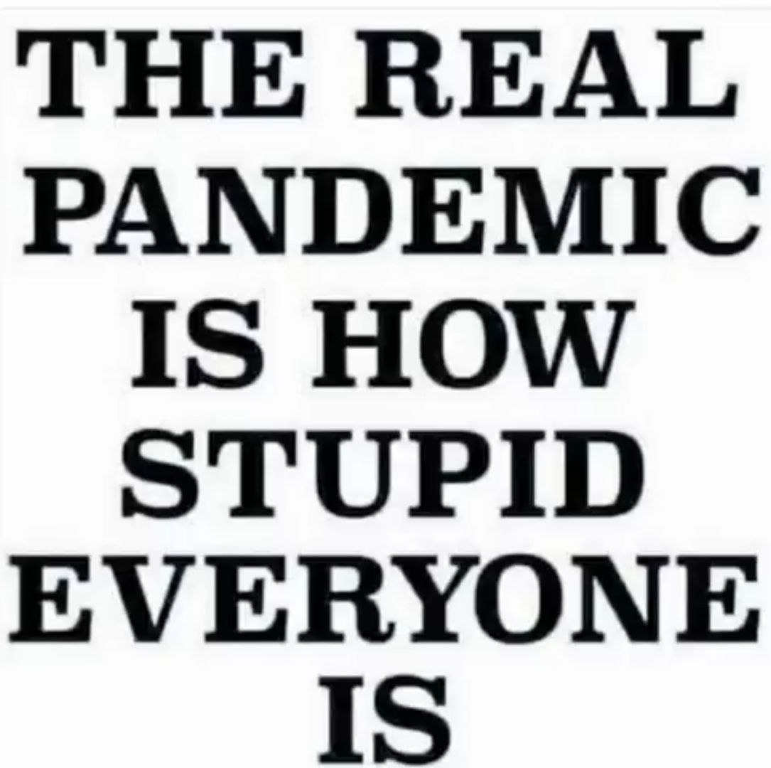 redpillbot (@redpillb0t) on Twitter photo 