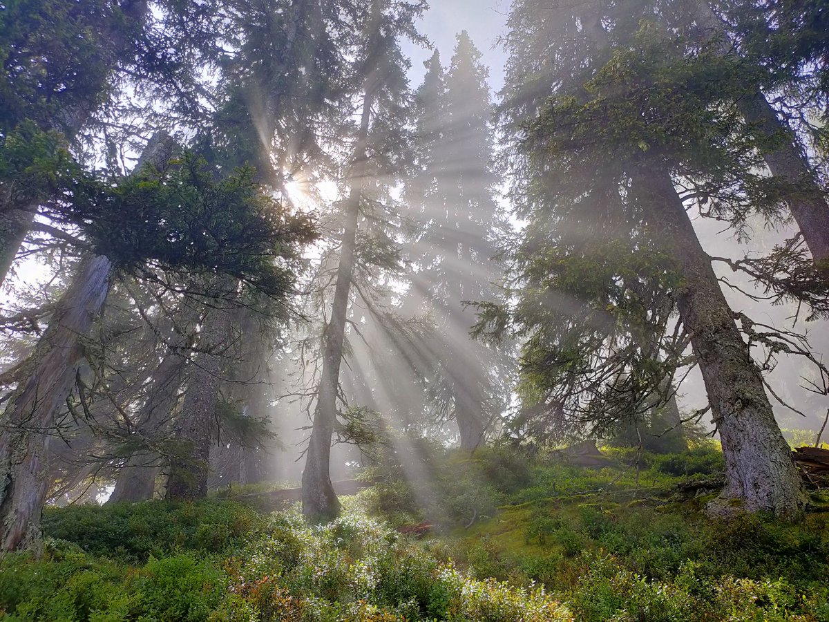 fttest_en's tweet image. While Garmin unveiled the Fenix 8 today, I was hiking with my wife and daughter: I had no doubt about what I wanted to forgo.