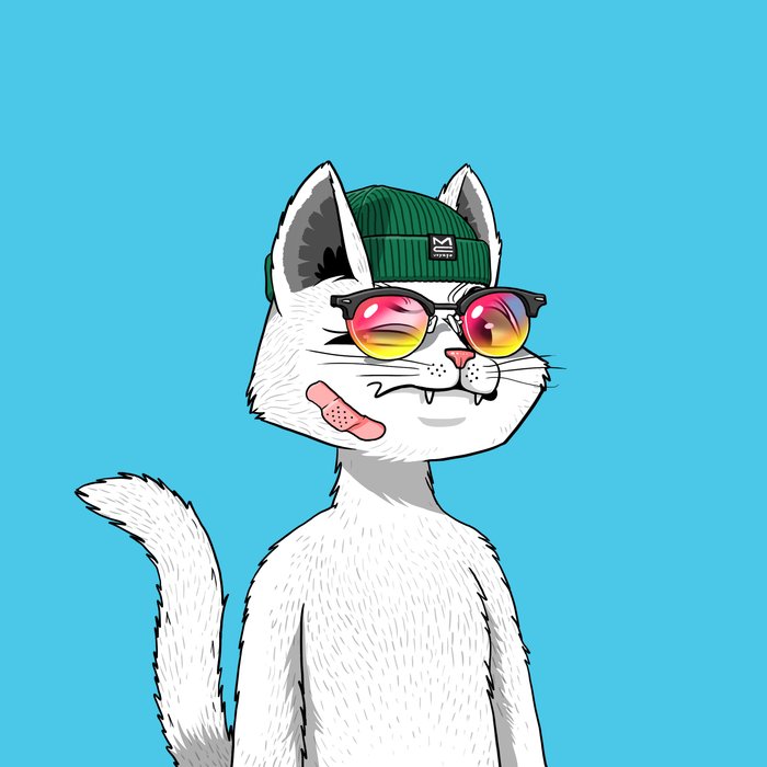 Gm😻

Love what <a href="/ClassicsCrypto/">Jay B 😻🚀</a> and the  <a href="/MarsCatsVoyage/">Mars Cats Voyage</a> family are doing. Supremely genuine founder and all around great project💯💥

Support the real ones🫡
#NewProfilePic