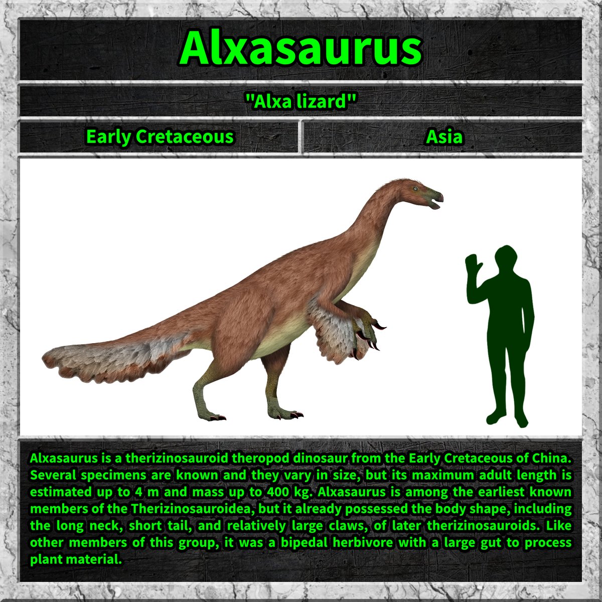 Total_Dino's tweet photo. #alxasaurus #dino #dinosaur #dinosaurs #cretaceous https://t.co/FlSDutGiet