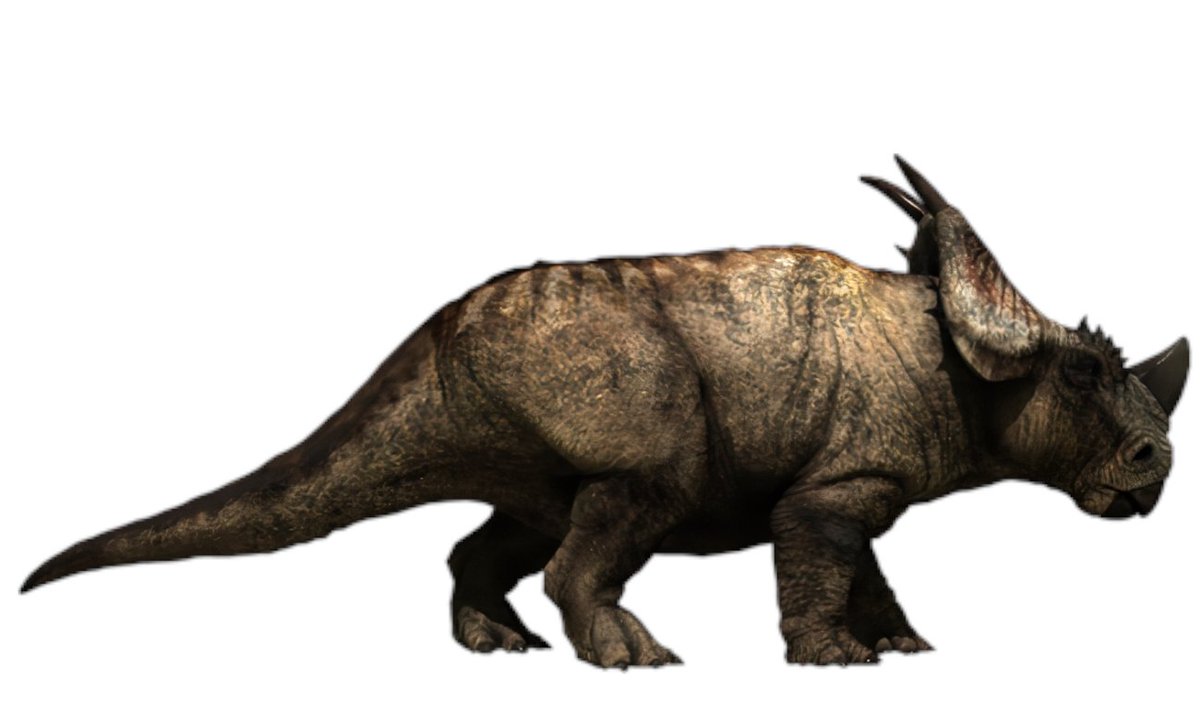 train_fucker's tweet photo. @FredtheDinoman "It had a big lumpy mass on the end of its head. We call that a boss". https://t.co/tr8mZIuXQP