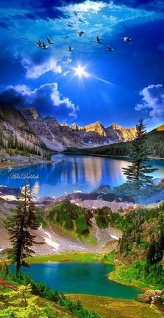 SteveMAN2024's tweet photo. #amazingphotos #naturephoto #NatureBeauty #NaturePhotography https://t.co/rxM9SIivoZ
