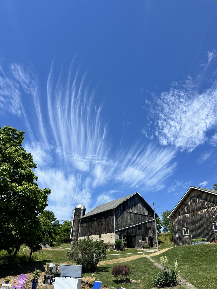 Patriotgrandma tweet media