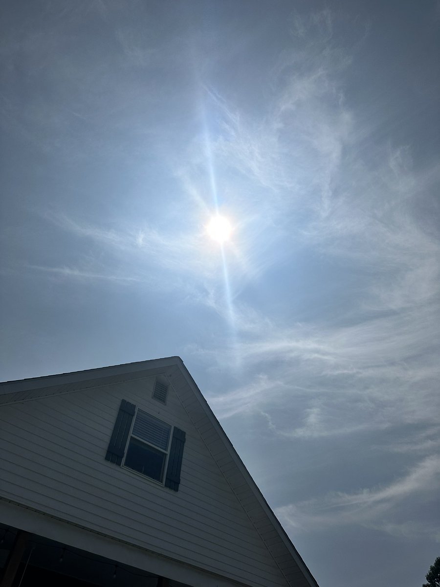 Patriotgrandma tweet media