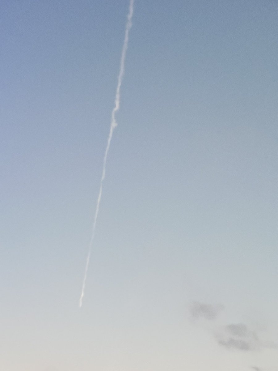 Patriotgrandma tweet media