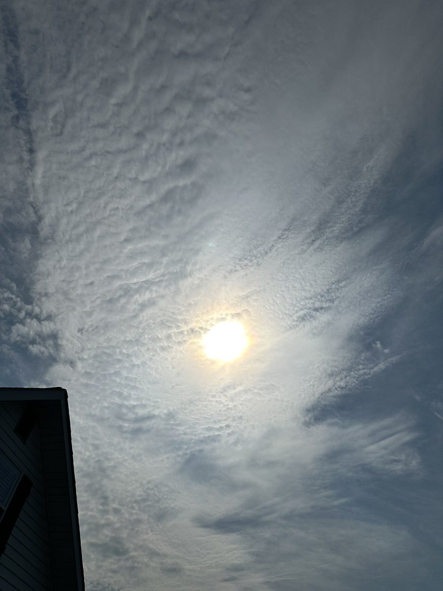 Patriotgrandma tweet media