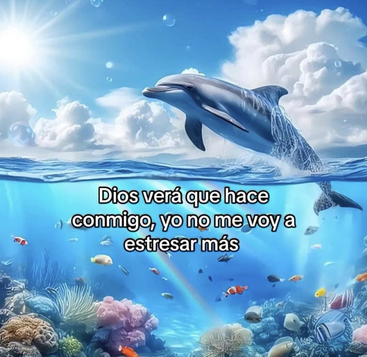 diegoilomilo's tweet photo. https://t.co/oIUTdFe048